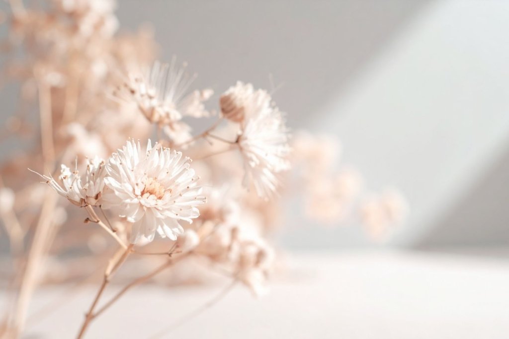 Fleurs blanches délicates dans une lumière douce, évoquant le calme intérieur et les émotions contenues.