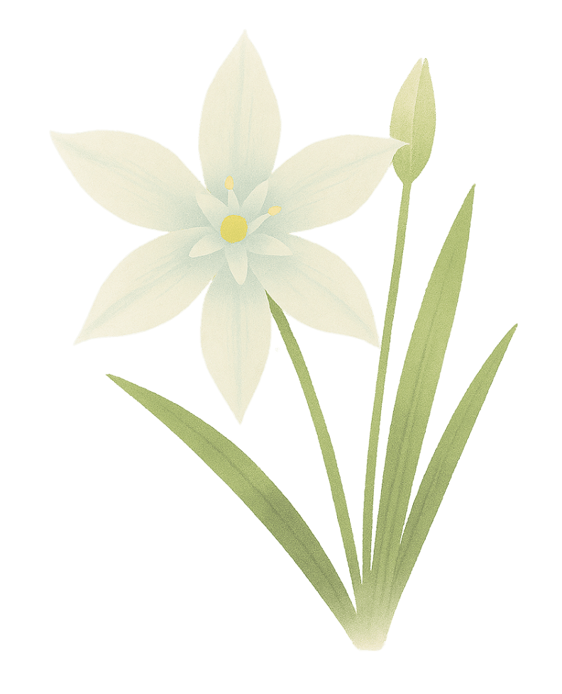 Étoile de Bethlehem