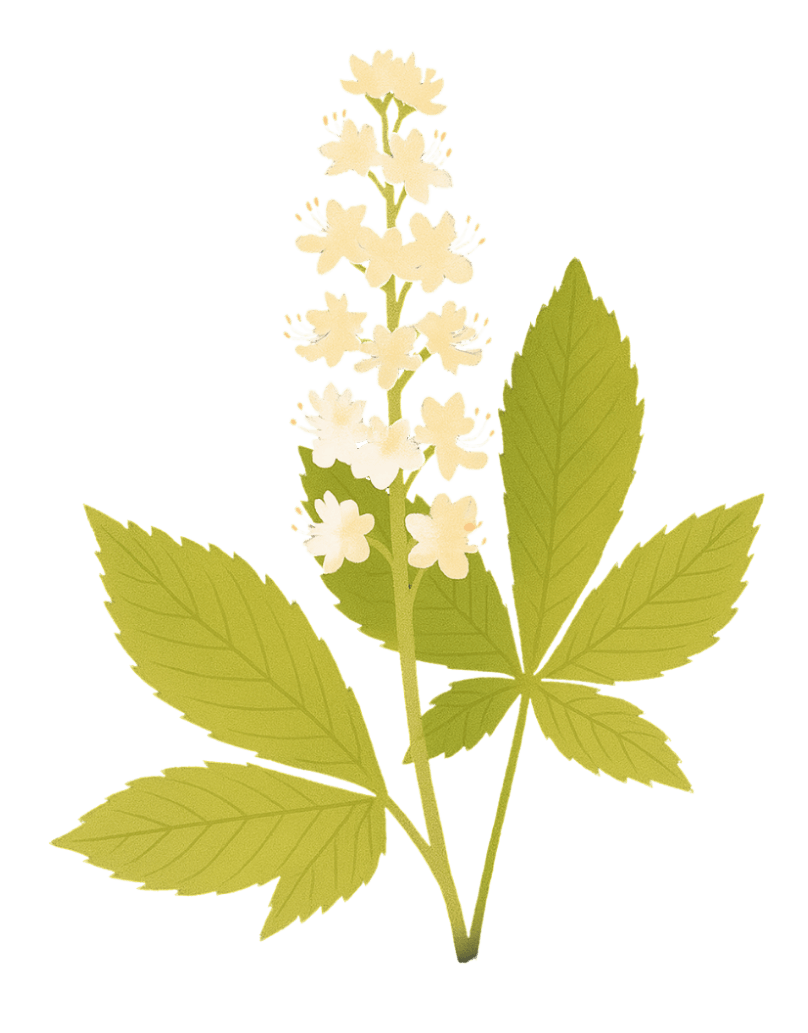 Marronnier blanc
