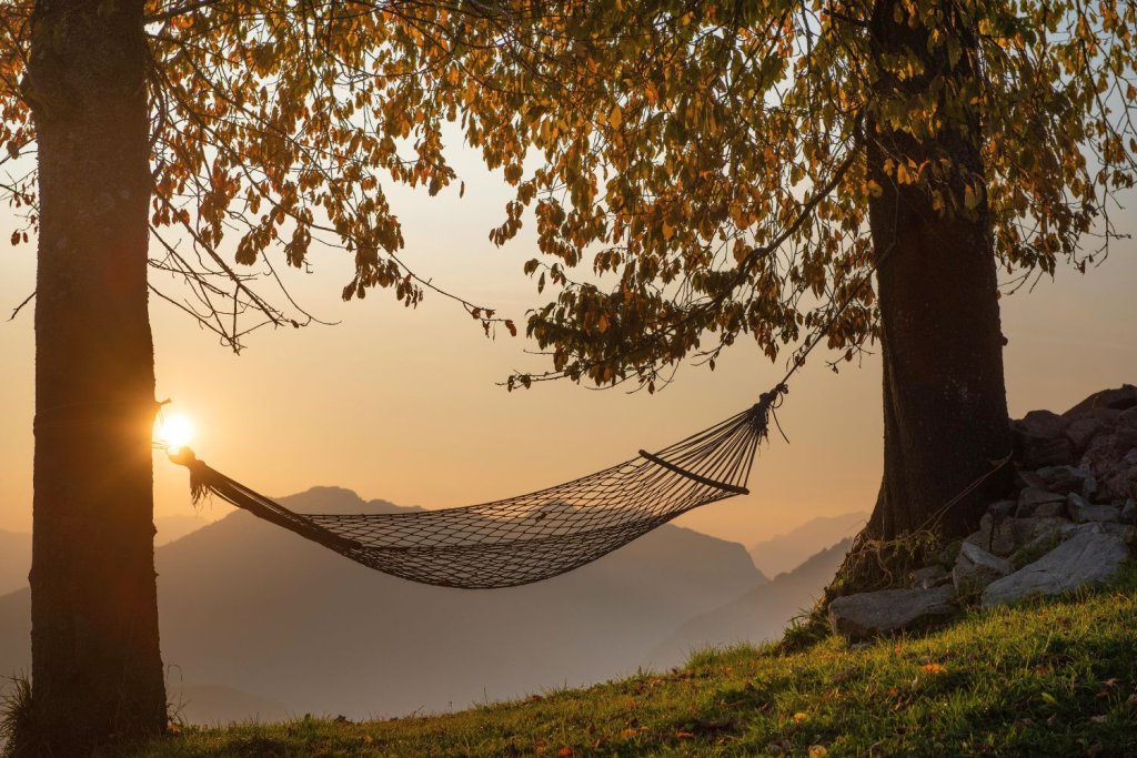 Hamac installé entre deux arbres dans un paysage de montagne, invitant au repos et au relâchement.